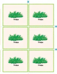 STEM-Старт. Зошит для учня. Наука про життя. 3 клас - мініатюра 15