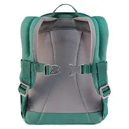 Рюкзак Deuter Pico Dustblue-Alpinegreen (1052-3610021 3239) - мініатюра 2