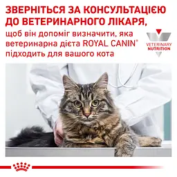 Сухий дієтичний корм для дорослих кішок Royal Canin Calm у періоди адаптації при зміні умов життя, 500 г (3955005) - мініатюра 7