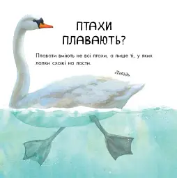 В гостях у природи. Птахи різні та дивовижні - мініатюра 4
