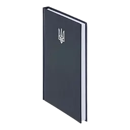 Щоденник недатований Buromax Airy A5 бумвініл 336 сторінок синій (BM.20731-02) - мініатюра 2