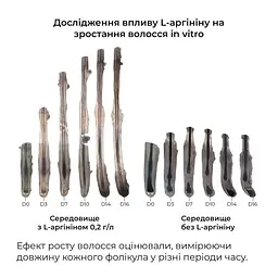 Маска Hillary Serenoa & РР Hair Loss Control проти випадіння волосся 200 мл - мініатюра 7