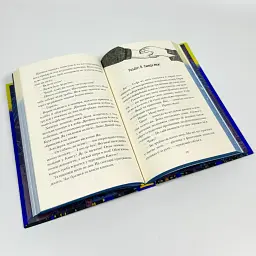 Вандалізм - Валерія Савотіна | Артбукс, книга українською, нова, тверда - мініатюра 4