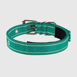 Нашийник Бірюзовий 25мм Поліпропілен HIDOG 323 (2000990067890A)(SN) shop (2000990067890) - мініатюра 2