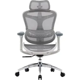 Офісне крісло Sihoo DORO C300L Mesh White (DORO-C300L-A3-102) - мініатюра 2