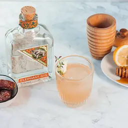 Джин Elephant Gin Orange & Cocoa 40% 0.5 л - мініатюра 5
