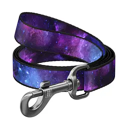 Повідець для собак WAUDOG Nylon "NASA21" L 25 мм х 122 см (4903-0148)