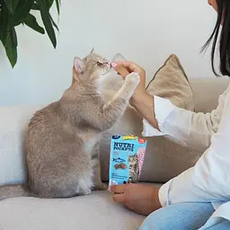 Ласощі для котів GimCat Nutri Pockets Fish лосось 60 г (G-419626) - мініатюра 6