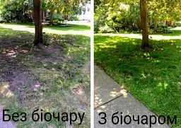 Біочар IDEALE 2 л - мініатюра 9