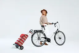 Сумка-візок Andersen Scala Shopper Anea Grey (112-175-20) - мініатюра 7