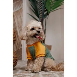 Футболка Pet Fashion Kent для собак S - мініатюра 3