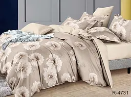 Комплект постільної білизни з компаньйоном (R-4731) Євро TAG tekstil pbe0040887 - мініатюра 1