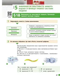 Біологія. 8 клас. Робочий зошит до підручника Ольги Тагліної - мініатюра 12