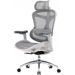 Офисное кресло Sihoo DORO C300L Mesh White (DORO-C300L-A3-102)