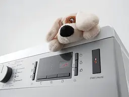Пральна машина Gorenje з фронтальним завантаженням WHE72SFS, 7кг, 1200, A+++, Пар, глибина 46см, Дисплей, Білий (WHE72SFS) - мініатюра 2
