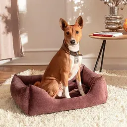 Лежак Pet Fashion «Denver» для собак, 60х50х18 см, ягода - мініатюра 2