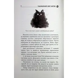 Таємничий світ котів - Гербі Бреннан Фабула (9786175223475) - мініатюра 7