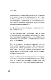 Вади довершеності - Олександр Комаров - мініатюра 11