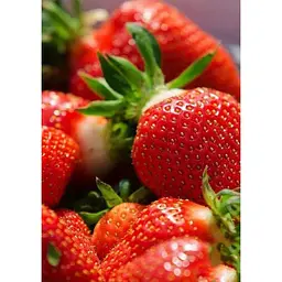 Саджанець Agro-Market Полуниця темно-вишнева Прикраса саду (Decorating the garden) 5шт (преміальний високоврожайний сорт) (44709) - мініатюра 4