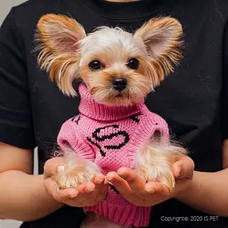 Светр для собак FAMILY LOOK без рукавів з написами FOR YOU, рожевий FB2 Is Pet zoo0005817 - мініатюра 3
