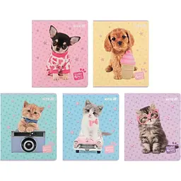 Набір зошитів Kite Studio Pets 24 аркушів в клітинку 20 шт. (SP25-238)