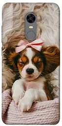 TPU чохол Demsky Sleepy spaniel для Xiaomi Redmi 5 Plus / Redmi Note 5 (Single Camera)
