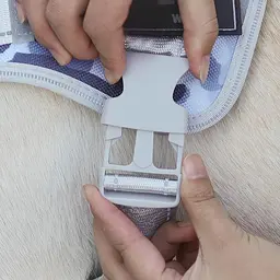 Нагрудна шлея для собак Reflective safety chest harness for pet dogs, XL Зелений - мініатюра 5