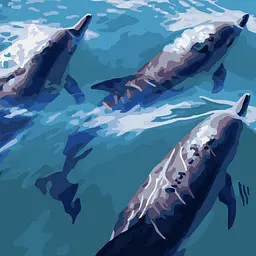 Набір для розпису по номерах Швидкі дельфіни, Strateg, 40x40 см, SK034