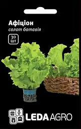 Салат батавія Афіціон 30 шт Rijk Zwaan Leda Agro