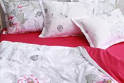 Комплект постільної білизни з компаньйоном 1,5-спальний TAG tekstil pbe0042401 - мініатюра 4