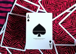 Карти гральні United States Playing Card Company Noc MYNOC 006 (Tiger) (PC_NM006) - мініатюра 3