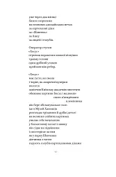 Вірші з бійниці - Максим "Далі" Кривцов - мініатюра 14