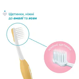 Дитяча зубна щітка Chicco 6-36 міс., 2 шт. бузково/жовта (8058664174706) (12082.00) - мініатюра 2