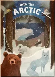 Look Closer into the Arctic