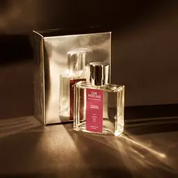 Ароматизатор для авто Esse Car Perfume Тропічна маракуйя 60 мл - мініатюра 2