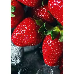 Саджанець Agro-Market Полуниця Монтерей (Monterey) 5шт (ремонтантний високоврожайний сорт) (37283) - мініатюра 6