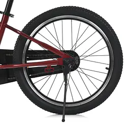 Велосипед дитячий Profi MB 2007-1 20 дюймів червоний - мініатюра 4