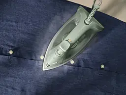 Праска Electrolux E3SI1-2LG (7203581) - мініатюра 7