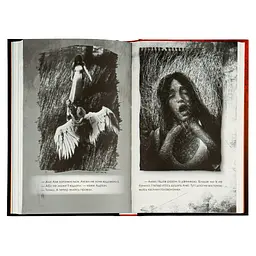 Книга Приховані малюнки - Джейсон Рекулак КСД (9786171298217) - мініатюра 6