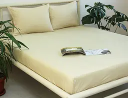 Простирадло на гумці + наволочки Vanilla TAG tekstil 160х200х20 см pbe0040926