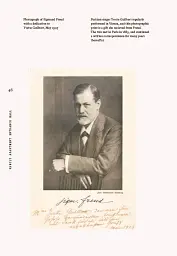 Freud. IX. Vienna, Berggasse 19 – The Origin of Psychoanalysis - мініатюра 8