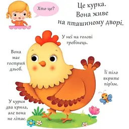 Книжка-картонка Богдан Хто це? Кури - Бомон Емілія та Беліно Наталя (978-966-10-5140-8) - мініатюра 2