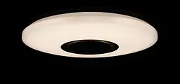 Люстра стельова LED Splendid Ray LY8339/24Wx2, 48W, білий, 40 см, з пультом і Bluetooth, сучасний стиль для дому - мініатюра 4