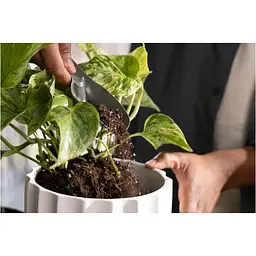 Набір інструментів Fiskars Plant Care для догляду за ґрунтом 3 предмети (1080777) - мініатюра 2