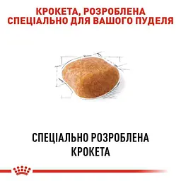 Сухий корм для дорослих собак породи Пудель Royal Canin Poodle Adult, 1,5 кг (3057015) - мініатюра 4