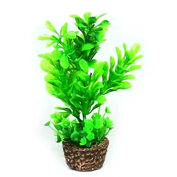 Штучна рослина Hobby Flora Stone 3 13 см (51532)