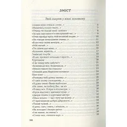 Книга Триста поезій - Ліна Костенко А-ба-ба-га-ла-ма-га (9786175850350) - мініатюра 4