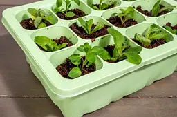 Міні-теплиця Kinzo Garden 12 комірок - мініатюра 6