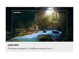 Телевізор Samsung QE48S90F - мініатюра 10