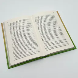 Заберіть мене на небеса - Фенні Флегг | Клуб Сімейного Дозвілля, книга українською, нова, тверда - мініатюра 3